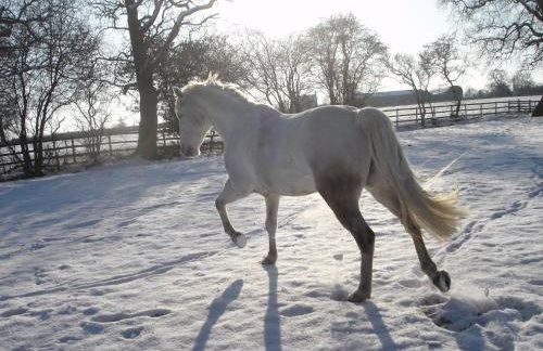 The Jockey Room Hideaway - Foto 31