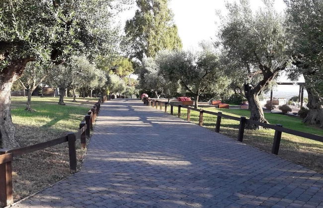 La Vista Agriturismo Resort - Foto 36