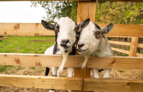 Family Cotswolds Cottage Farm Stay - The Smythy - Foto 44