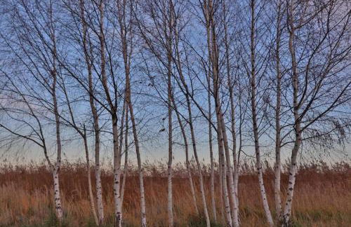 Fuchsbergblick - Foto 16