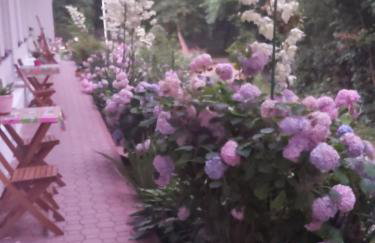 Leśne Zacisze Kretowiny 88 nad jeziorem Narie z własnymi pomostami apartamenty sezonowe lato - Foto 6