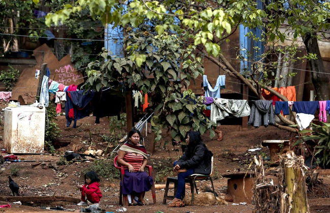 Jaragua Park Private Hiking Experience - Photo 8