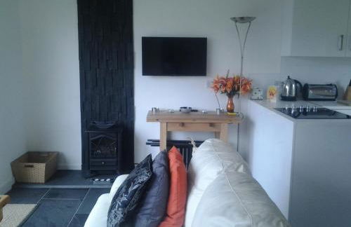 Parkway Chalet - Pennal, Wales nr Aberdovey & Dyfi Valley - Photo 13