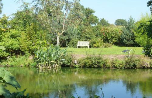 Gites Du Manoir de Savigny - Foto 24