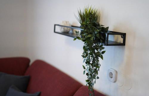 Apartments Loncar-near Zrće beach - Foto 20