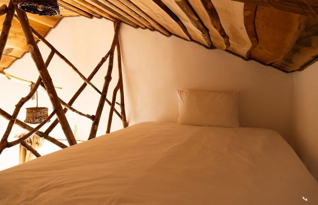 Viewtopia - The Secret Land - Photo 9