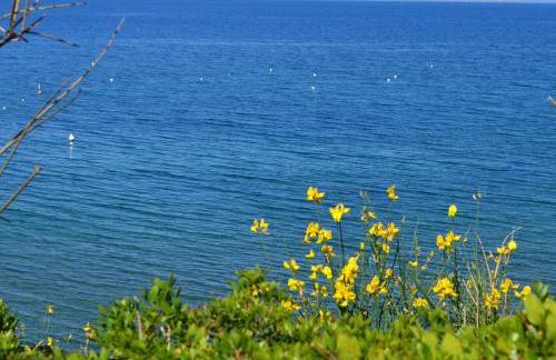 Residential Hotel Villaggio Innamorata - Foto 76