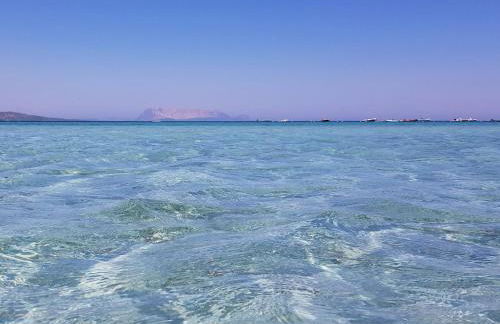 Holiday Home La Conchiglia D'oro by Interhome - Foto 54