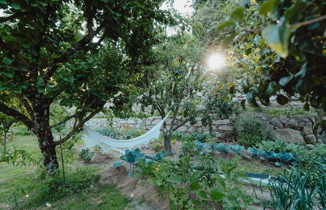 Casa Agrícola da Levada Eco Village - Foto 62