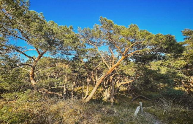 "apartment New Series 3a" - Photo 13