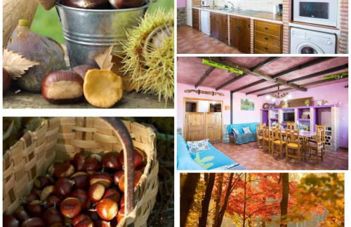 El Robledillo - Foto 7