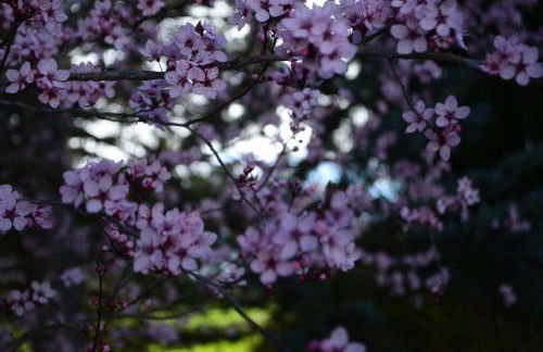 Apartamentos La Borda Castillon - Foto 27