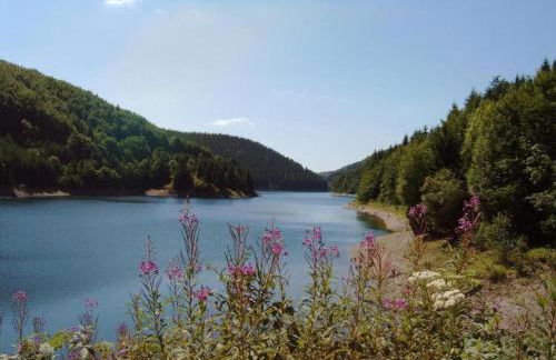 Small and Cozy Apartment in Frauenwald near Forest - Foto 66