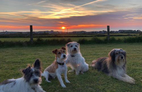 Wren Cottage at Trenale Court Cottages - Foto 9