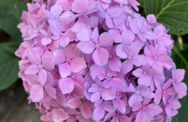 Dielino Amazing Sunset View - Foto 3