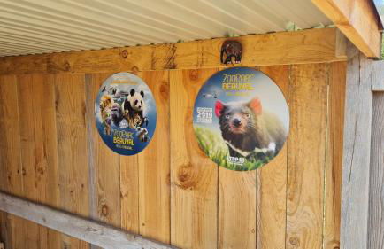 Perroquet & Koala 2 logements 10min du zoo de Beauval et proche château - Foto 58