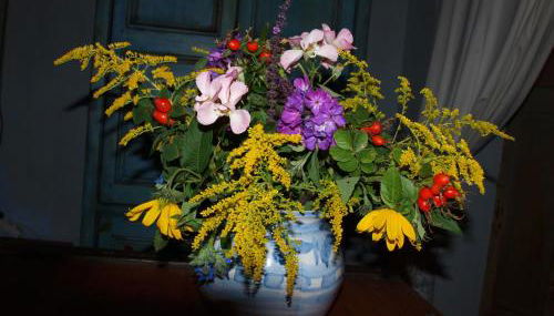 Natur erleben und Ruhe genießen - Foto 5