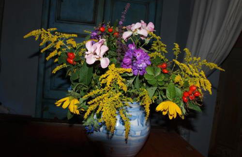 Natur erleben und Ruhe genießen - Foto 5