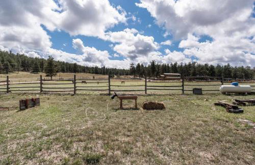 Cabin in Colorado NTL Forest - Foto 7