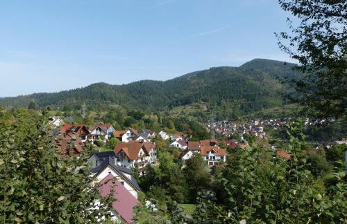 Ferienwohnungen Sonnenhalde mit schöner Aussicht - Foto 51