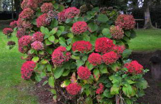 Gîte, Le Séchoir à Lin demeure de charme - Foto 19