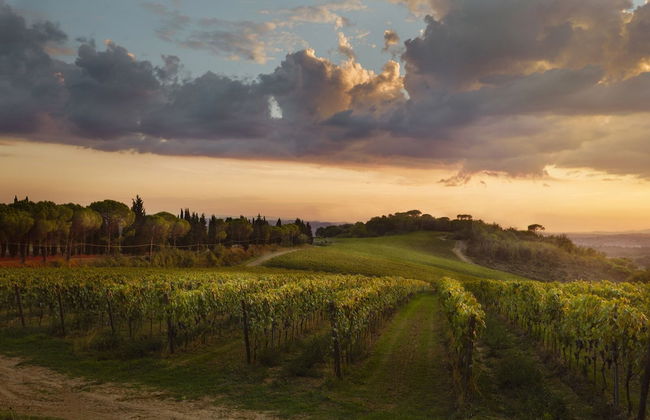 Tenuta San Vito - Foto 22