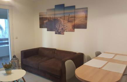 Appartement à deux pas de l ocean - Foto 8