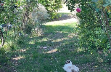 Gites le Pimayon - Foto 80