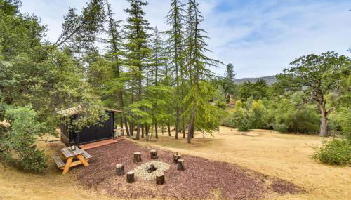 Yosemite Wellbeing Retreat on 5 Acres with Mtn Views - Photo 3