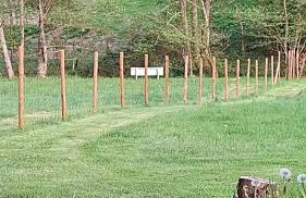 Ferienhaus du Bourguignon, Lorraine - Foto 54