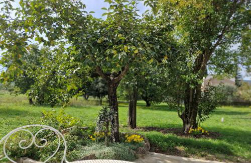 La Bastideta, - Foto 9