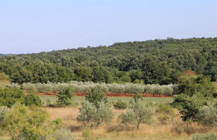 Casa Conte Istria - Photo 46