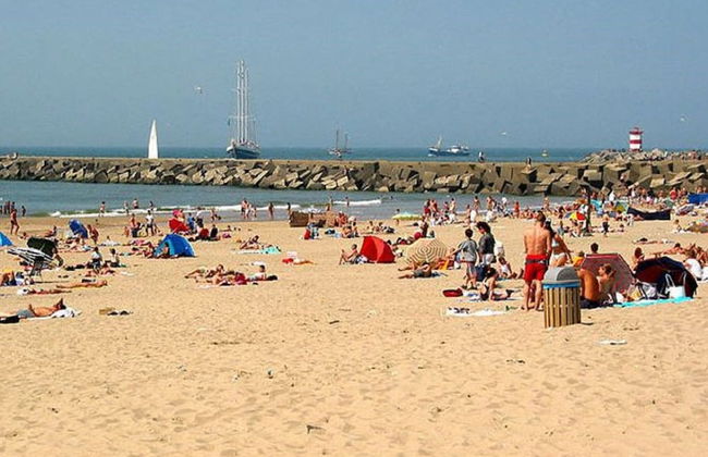 Coastal Apartment Near Dunes - Photo 23