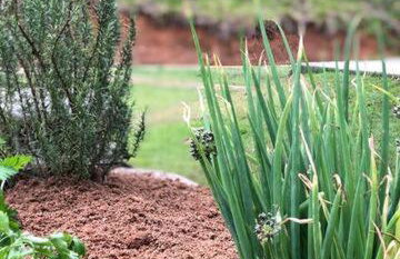 Casa Bourguignon - Foto 38