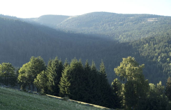 Classy Apartment in Soultzeren - Photo 12