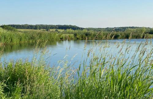 The Cart Shed - Foto 24