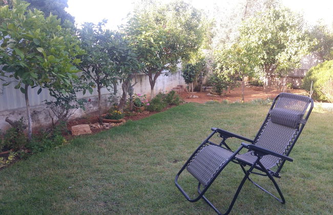 Sabba's Apartment - Photo 11