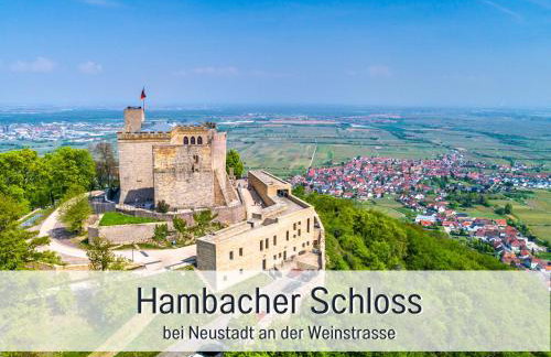 WINETIME - Apartment Roschbach - für bis zu 5 Personen - idyllisch an den Weinbergen der südlichen Weinstraße zwischen Landau und Neustadt gelegen - Photo 34