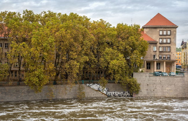 apartamenty-wroc Bulwary Książęce - Photo 41