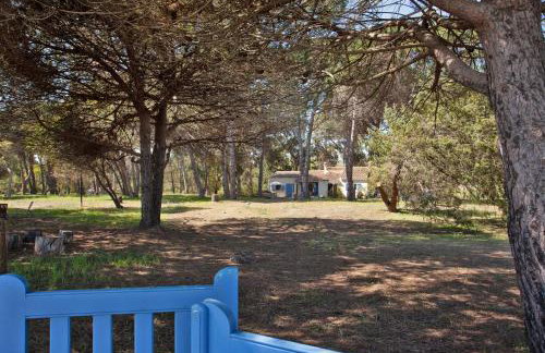 MAISONS BORD DE MER- MARINE DE SORBO - Gîtes 3 épis - Photo 80