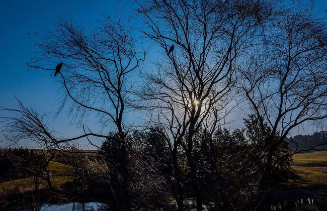 Springholm Cottages - Foto 48