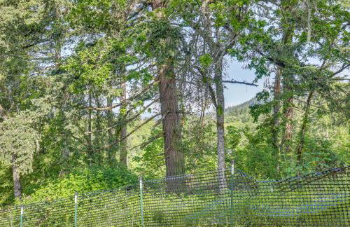 Fire Pit Tranquil Country Retreat 15 Mi to Eugene - Foto 22