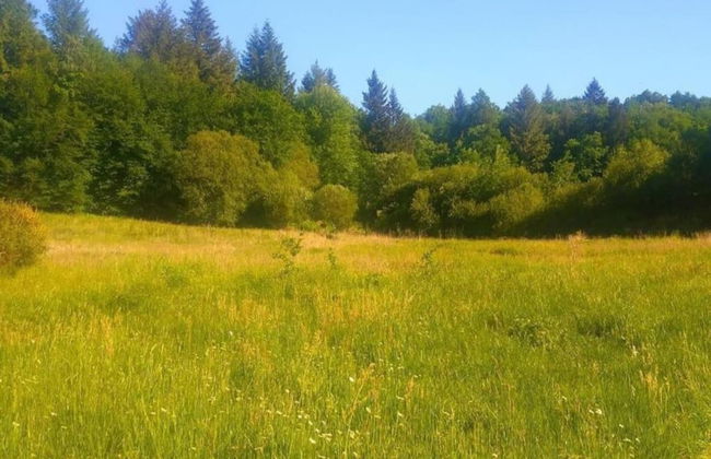 Holiday Home Near Lake and Leisure in Clos du Bannet - Photo 24