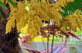 Villa Kampou - Foto 53