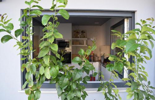 Saint Victor House - Foto 21