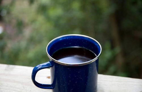 Heated North Carolina Glamping Rental Surrounded by Pisgah National Forest - Foto 34