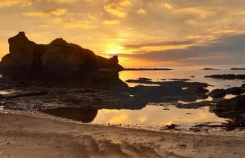 Gîte Le Champ Du Bois - Foto 28