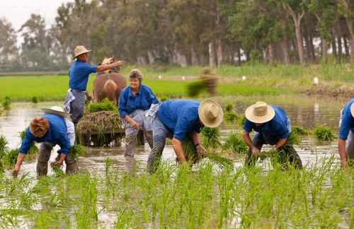 Allotjament turistic Casa Serral-Ocampo - Foto 49