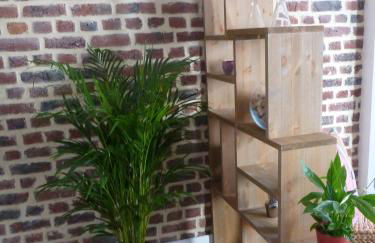 spéculoos et chicorée - Foto 40