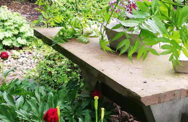 idylische Ferienwohnung - Foto 18